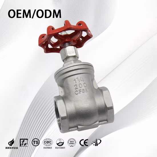 Válvula de compuerta manual API 600 de 10 pulgadas para petróleo y gas